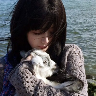 乘龙怪婿第四季
